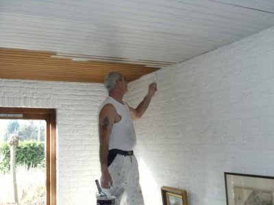 afbeelding van Sauswerk, schilderwerk.