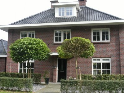 afbeelding van Foto 2